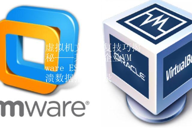 虚拟机文件恢复技巧揭秘——某医疗企业VMware ESXi崩溃数据抢救实录